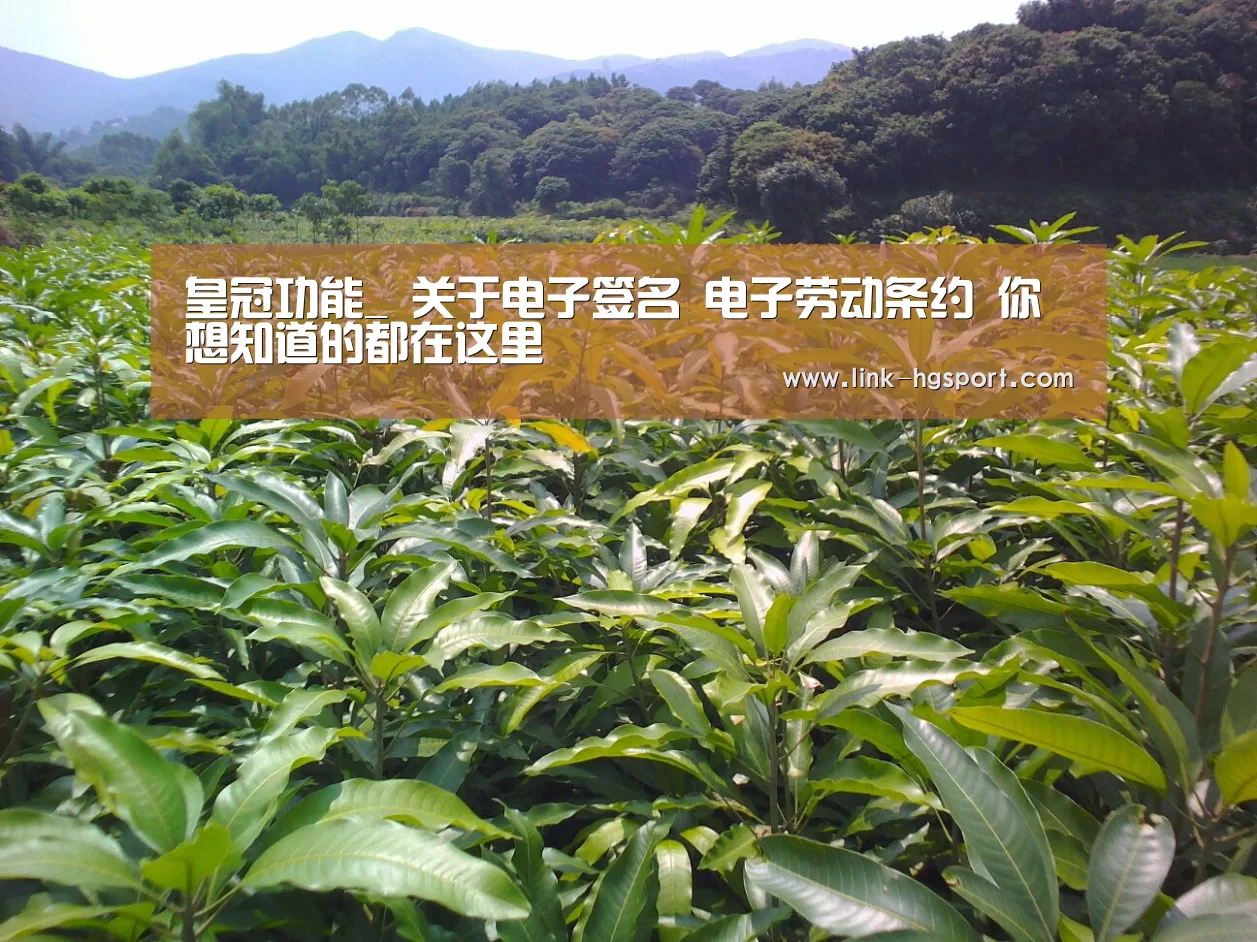 皇冠功能_
关于电子签名 电子劳动条约 你想知道的都在这里(图1) 皇冠体育网址