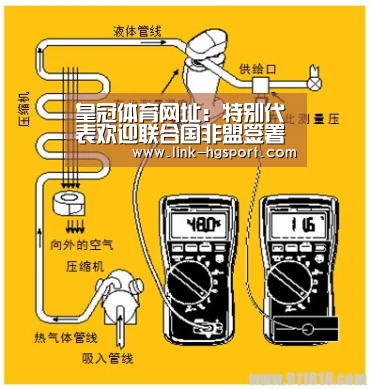 皇冠体育网址:特别代表欢迎联合国非盟签署共同预防应对冲突中性暴力框架协议(图4) 皇冠功能