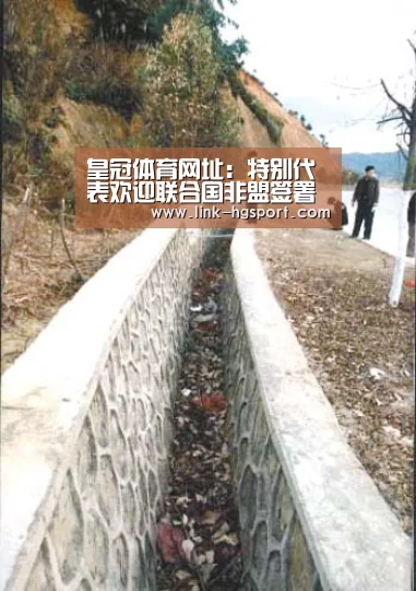 皇冠体育网址:特别代表欢迎联合国非盟签署共同预防应对冲突中性暴力框架协议(图1) 皇冠体育官网