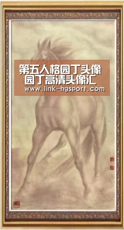 皇冠功能