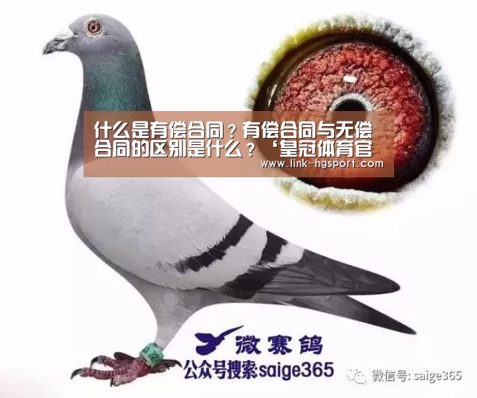什么是有偿合同?有偿合同与无偿合同的区别是什么?‘皇冠体育官网’(图1) 皇冠功能